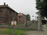 /album/galeria-12-auschiwitz-polonia/bild-424-jpg/